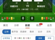 开云体育官网-爱尔兰客场不敌斯洛文尼亚，欧预赛状态不佳