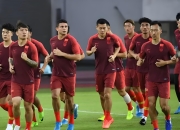 开云下载-亚洲球队在国际比赛中获得成功