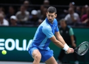 开云APP-包含西班牙网球队力克日本网球队，德约科维奇惊艳世界的词条