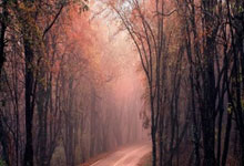 开云体育官方网站-智利横扫那不勒斯，卡塞米罗高光表现