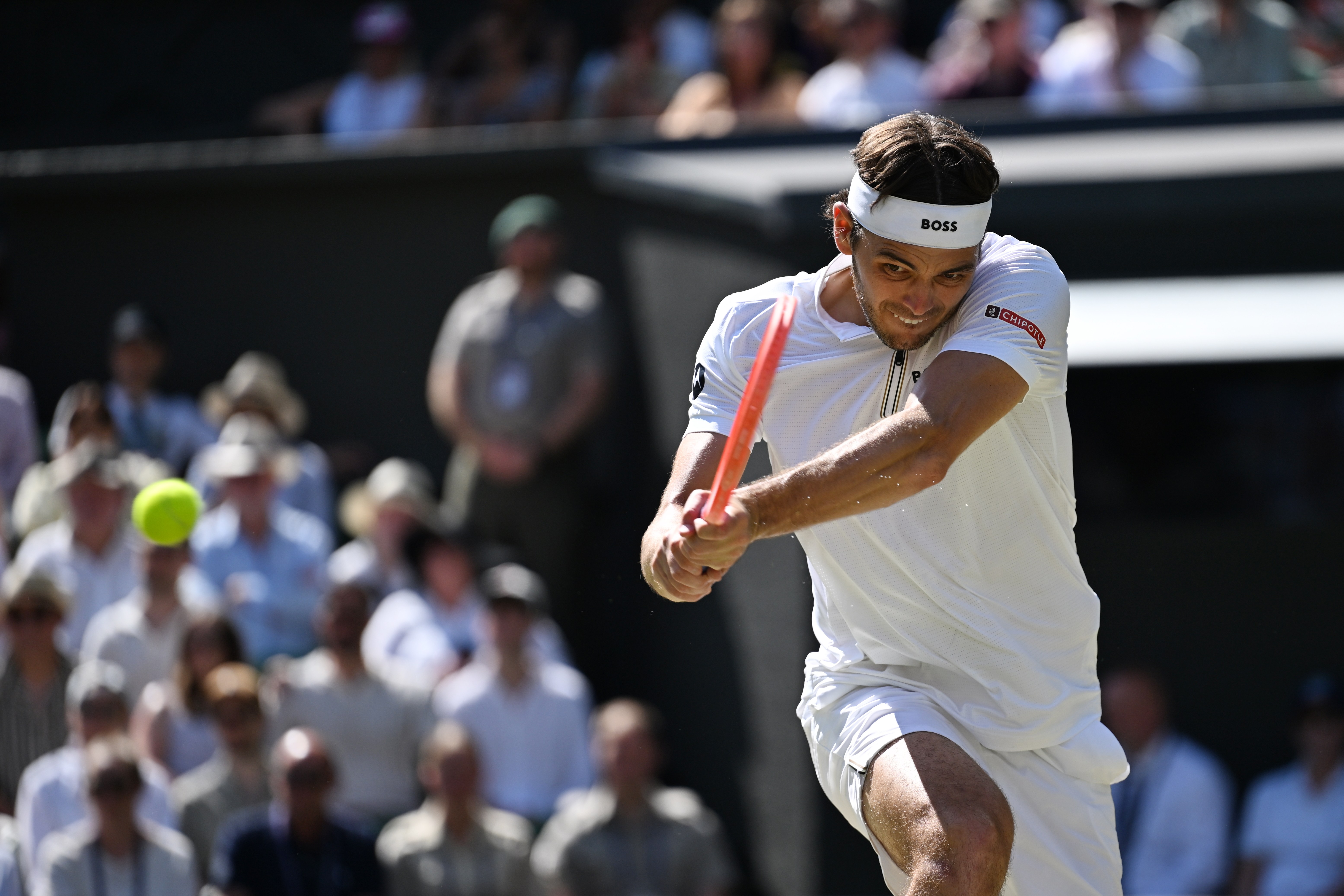 温网翻盘ATP总决赛，阿尔卡拉斯统治全场的简单介绍