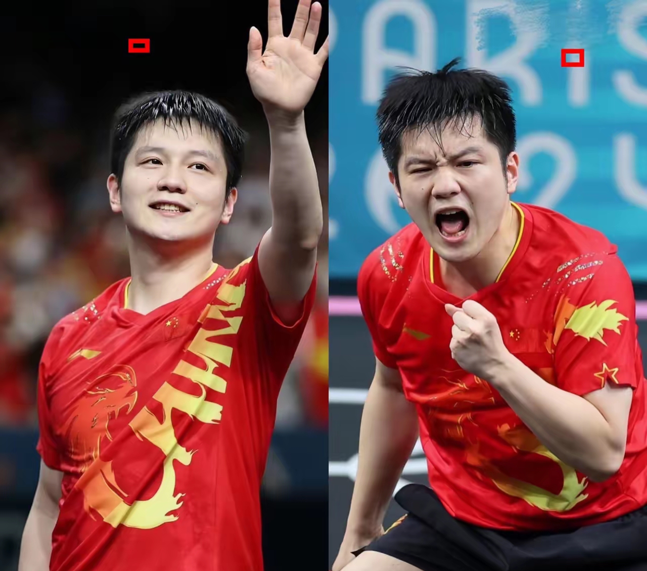 日本队横扫中国队，樊振东点燃赛场