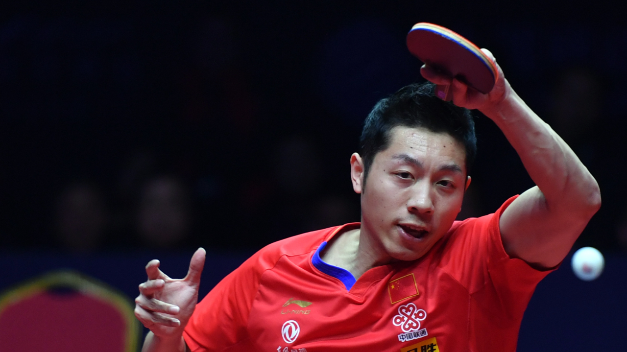 法国队力克波兰队,许昕高光表现的简单介绍 法国队力克波兰队,许昕高光表现的简单介绍